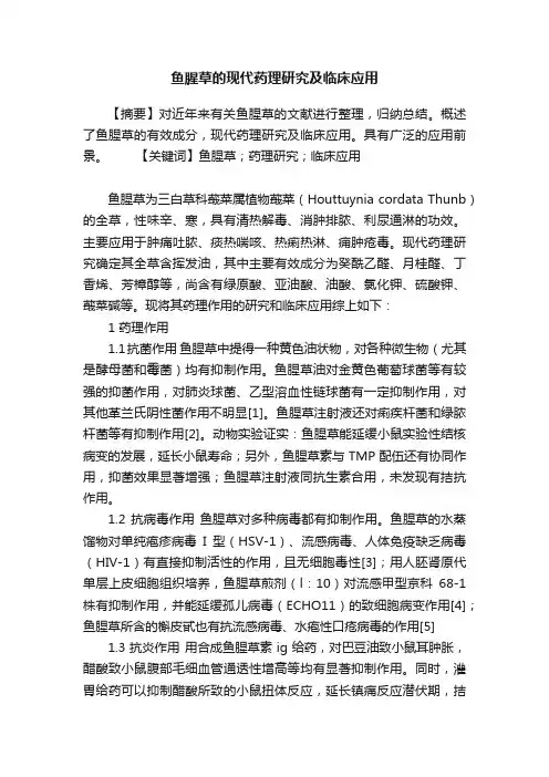 鱼腥草的现代药理研究及临床应用