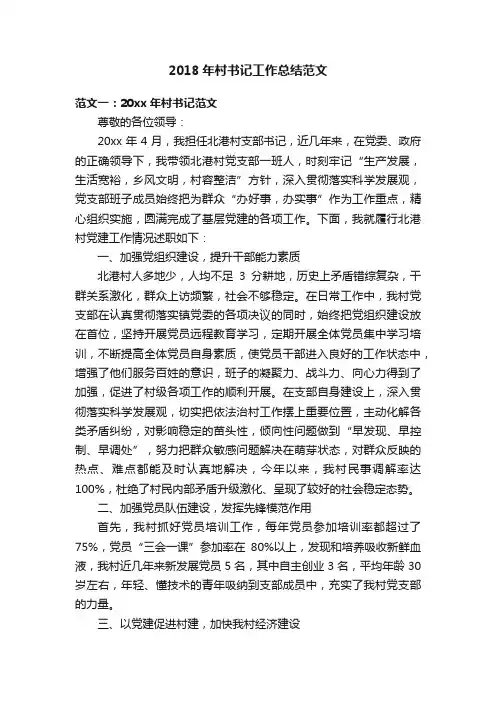 2018年村书记工作总结范文