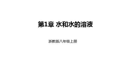 1.4物质在水中的分散状况(PPT课件(初中科学)27张)