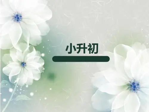 同音字,谐音字,多音字,形近字。