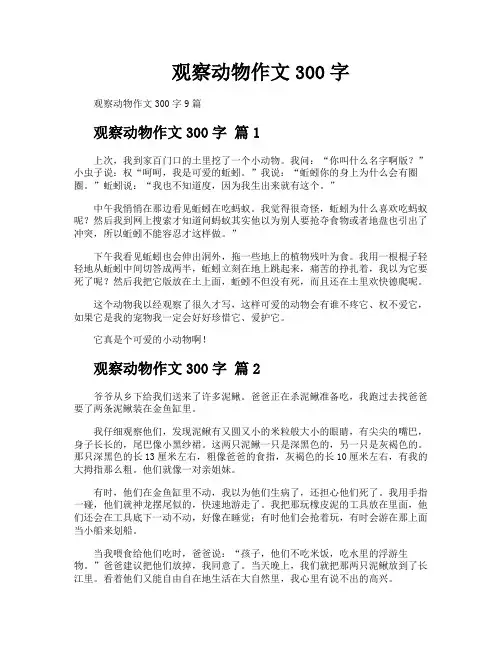 观察动物作文300字