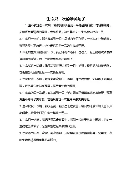 生命只一次的唯美句子