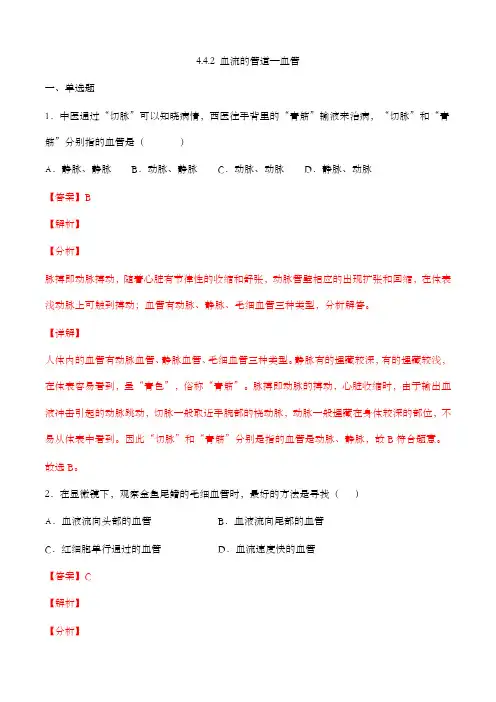 4.4.2 血流的管道—血管(精编课件+练习)精编七年级生物下册同步备课系列(人教版)(解析版)