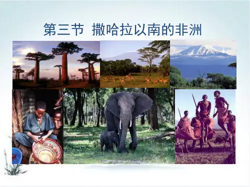 《撒哈拉以南的非洲》ppt课件初中地理人教版2