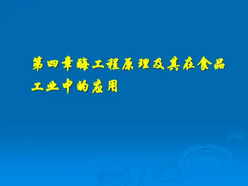 第四章__酶工程原理及其在食品工业中的应用详解