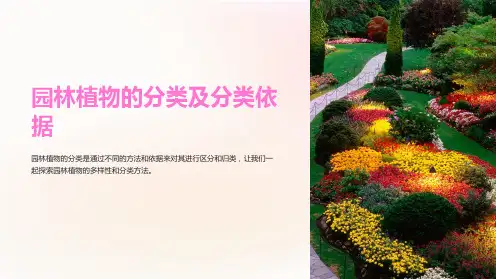 园林植物的分类及分类依据