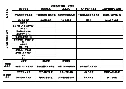 团委用表