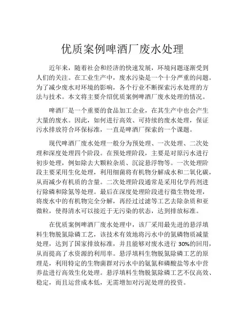 优质案例啤酒厂废水处理