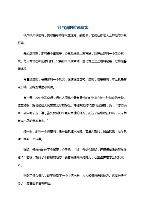 狗与猫的传说故事