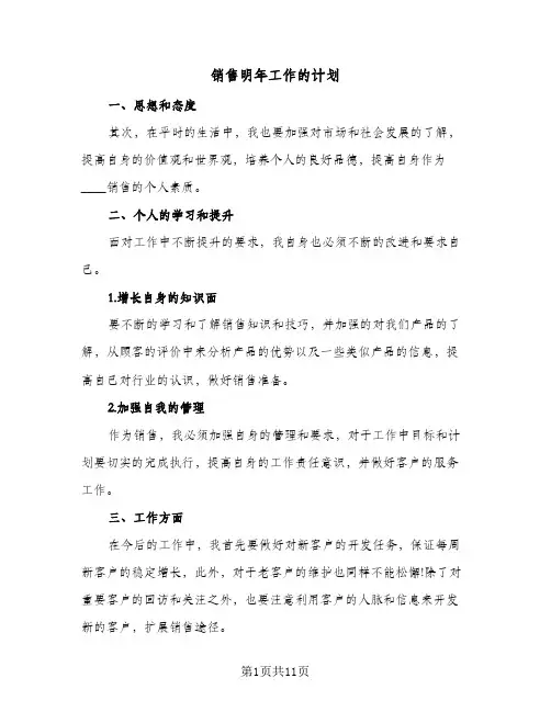 2024年销售明年工作的计划（七篇）
