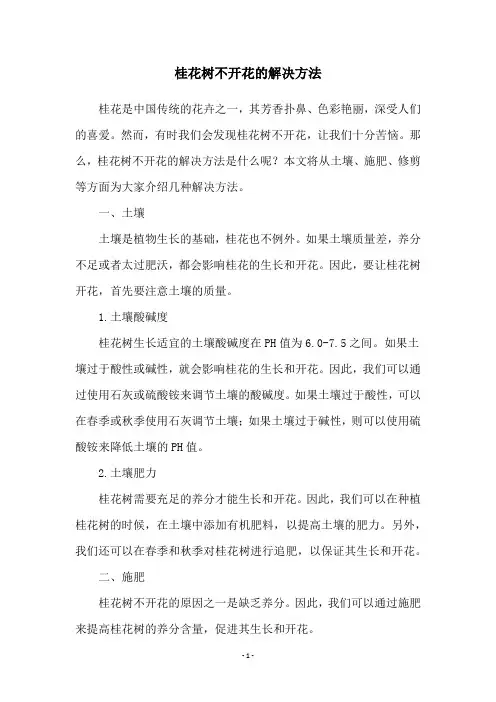 桂花树不开花的解决方法