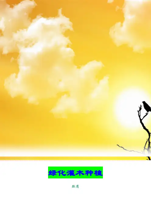 绿化灌木种植