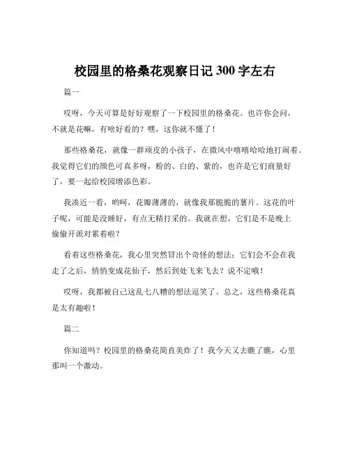 校园里的格桑花观察日记300字左右