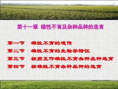 第十一章雄性不育及杂种品种的选育