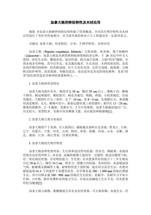 加拿大杨的特征特性及木材应用