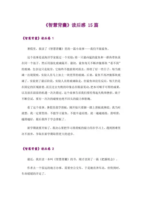 《智慧背囊》读后感 15篇