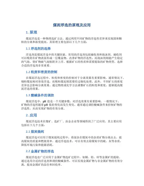煤泥浮选的原理及应用