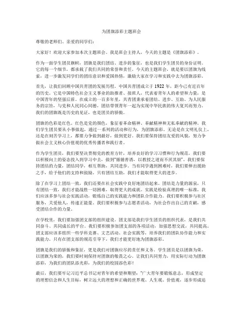 为团旗添彩主题班会