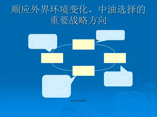 麦肯锡薪酬设计思路.pptx