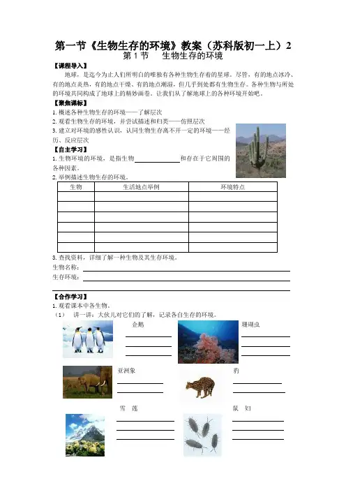 第一节《生物生存的环境》教案(苏科版初一上)2
