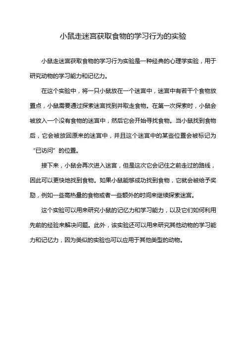 小鼠走迷宫获取食物的学习行为的实验