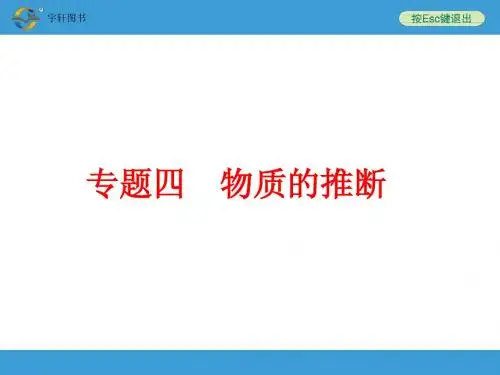 九年级化学中考专题四 物质的推断