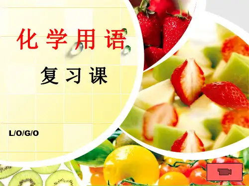 九年级化学上册第四单元《化学用语专题复习》课件ppt