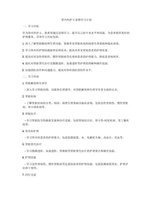 肾内科护士进修学习计划