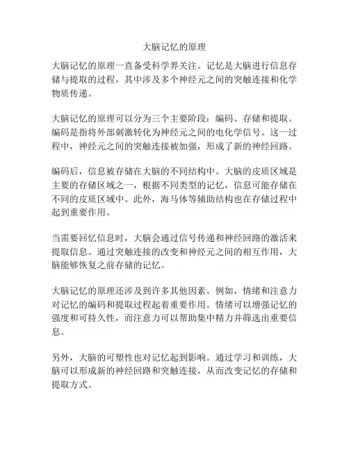 大脑记忆的原理