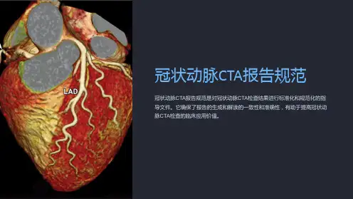 冠状动脉CTA报告规范