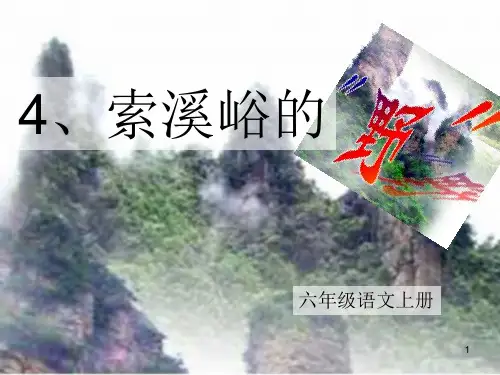 小学语文六年级人教版上册《索溪峪的野》PPT课件