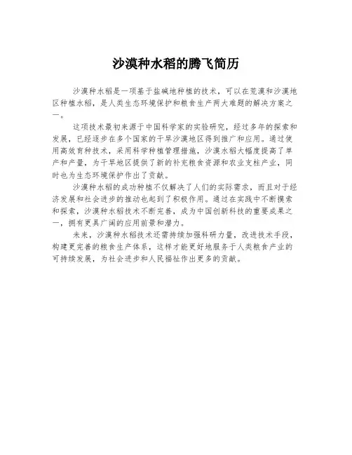 沙漠种水稻的腾飞简历