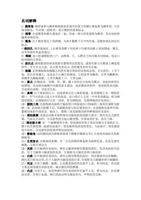 解剖重点