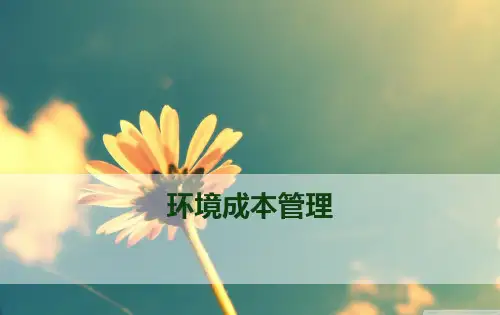 环境成本管理