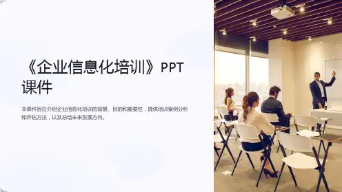 《企业信息化培训》课件