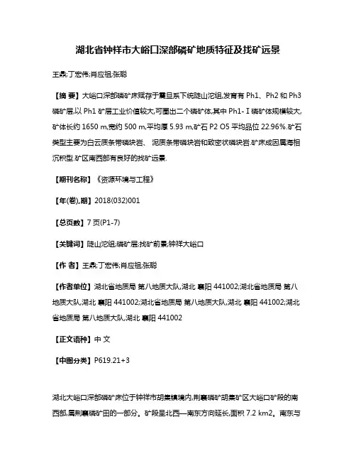 湖北省钟祥市大峪口深部磷矿地质特征及找矿远景