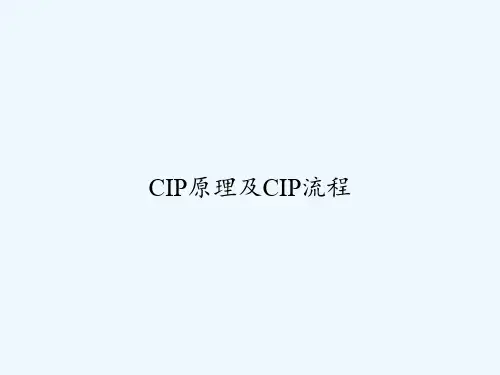 CIP原理及CIP流程 PPT