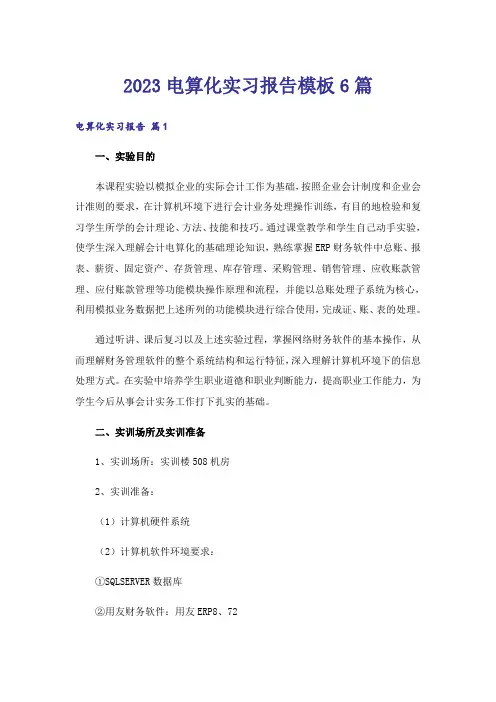 2023电算化实习报告模板6篇