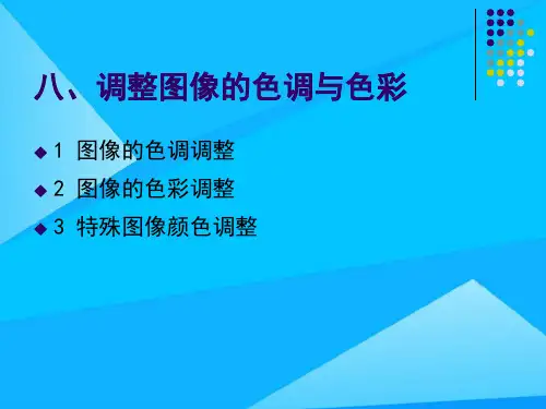 平面设计调整图像的色调与色彩优质PPT