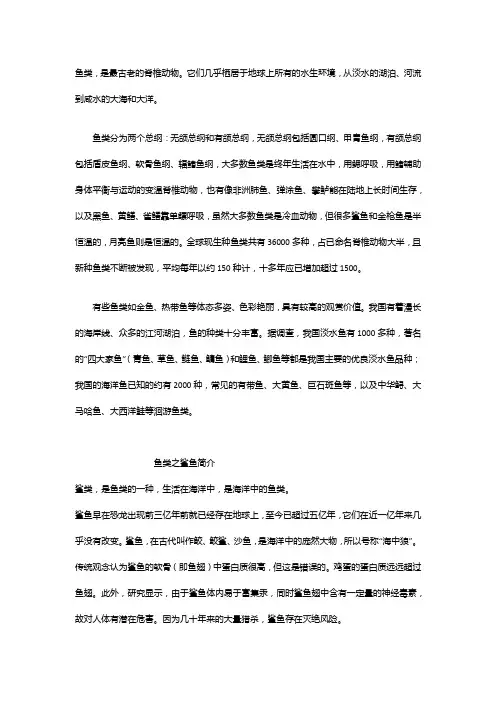 鲨鱼的资料简介