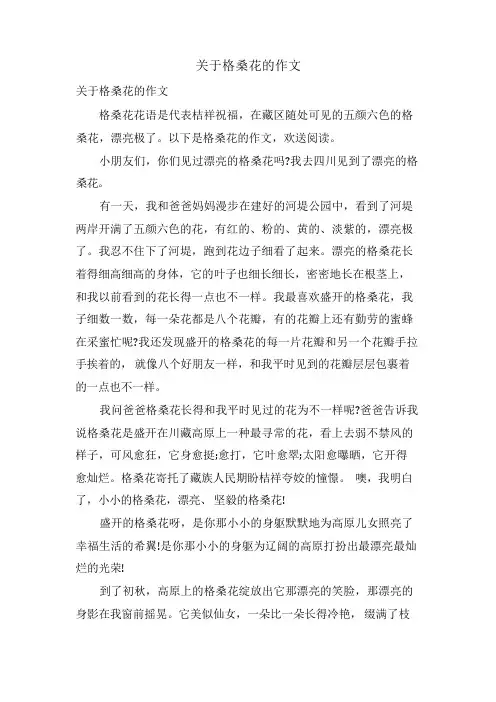 关于格桑花的作文