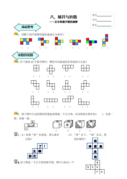 四年级上数学8、展开与折叠(练习)