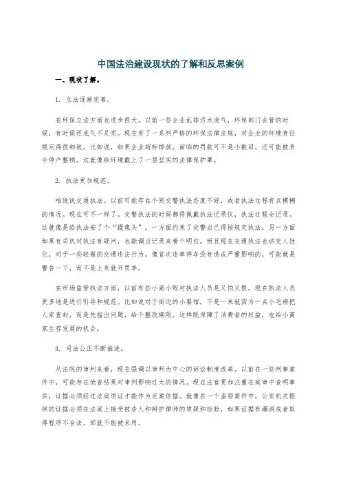 中国法治建设现状的了解和反思案例