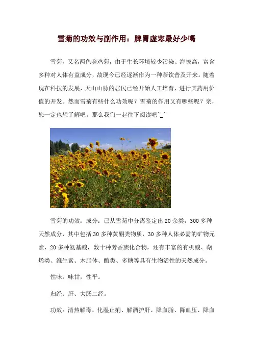 雪菊的功效与副作用：脾胃虚寒最好少喝