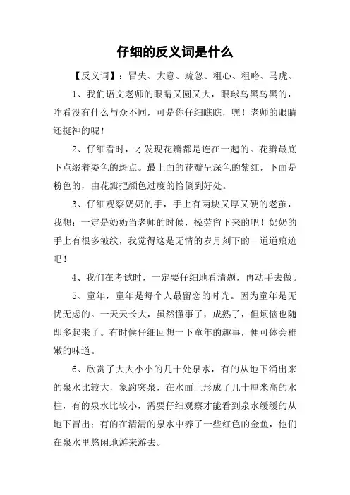 仔细的反义词是什么