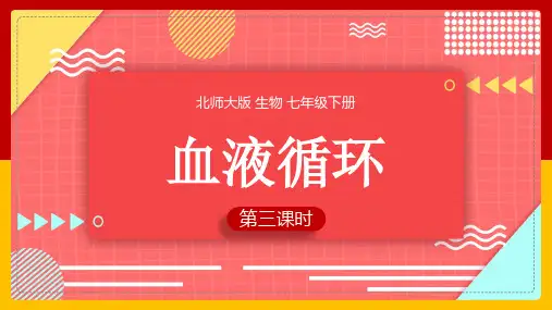 初中生物北师大版七年级下册《第9章第2节第3课时血液循环》课件