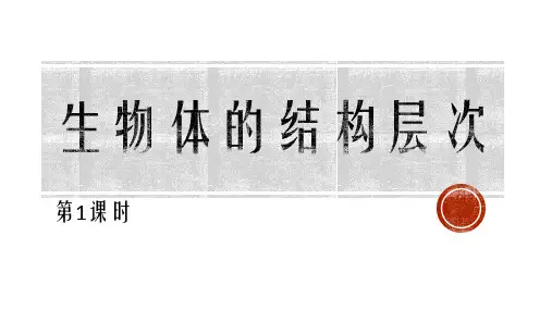 浙教版七年级科学上册《生物体的结构层次》PPT教学课件