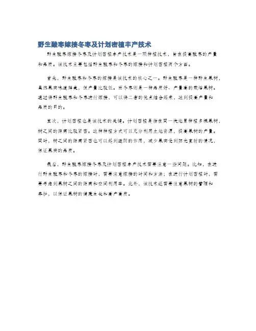 野生酸枣嫁接冬枣及计划密植丰产技术