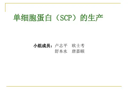 单细胞蛋白(SCP)的生产.pptx