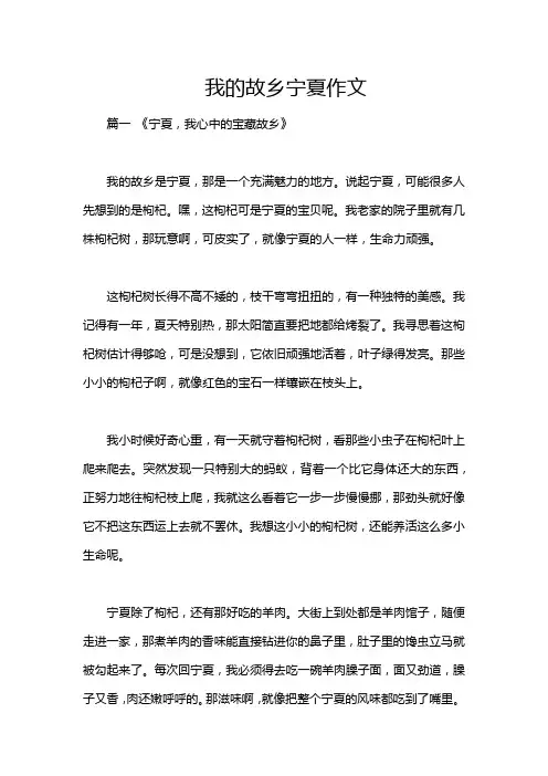 我的故乡宁夏作文